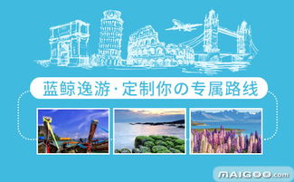 藍(lán)鯨旅行 開啟私人定制與商務(wù)考察的專業(yè)旅程